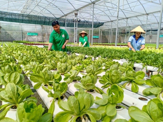 booking-quang-cao-truyen-hinh-vtc-linh-vuc-nong-nghiep