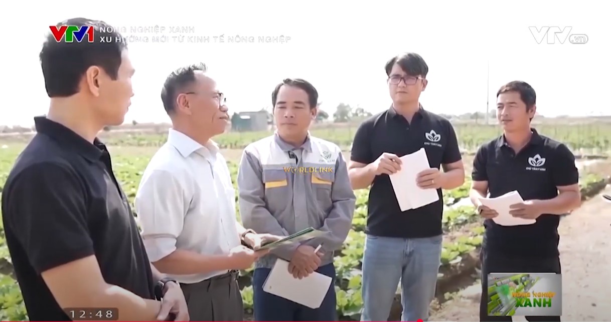 Booking quảng cáo vtv1 giá cạnh tranh