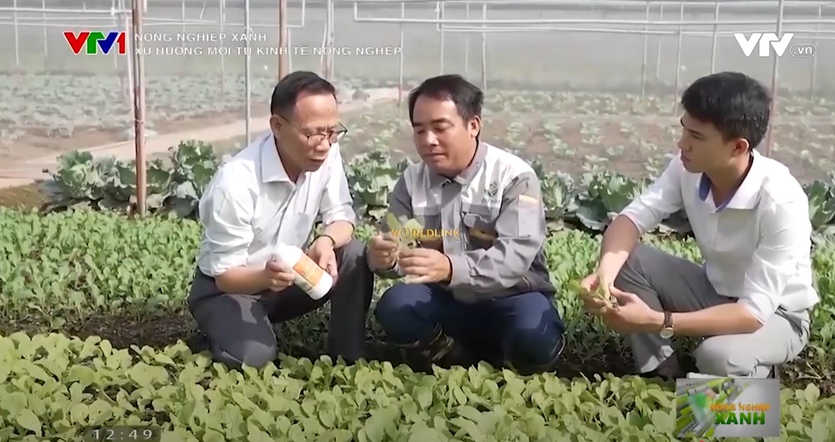 Booking VTV1 giá rẻ nhất tại Hà Nội