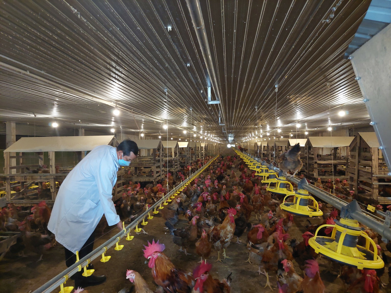 quang-cao-truyen-hinh-mo-hinh-huu-co