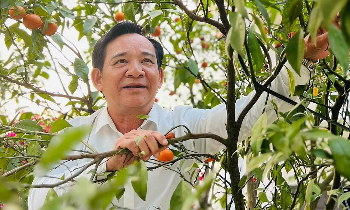 booking-nghe-si-quang-teo